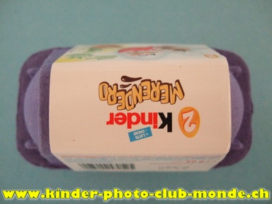 Cliquez pour agrandir l'image