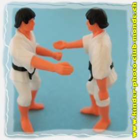 Karateka - karat�ka